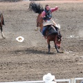 Rodeo Calgary 2008, Stampede